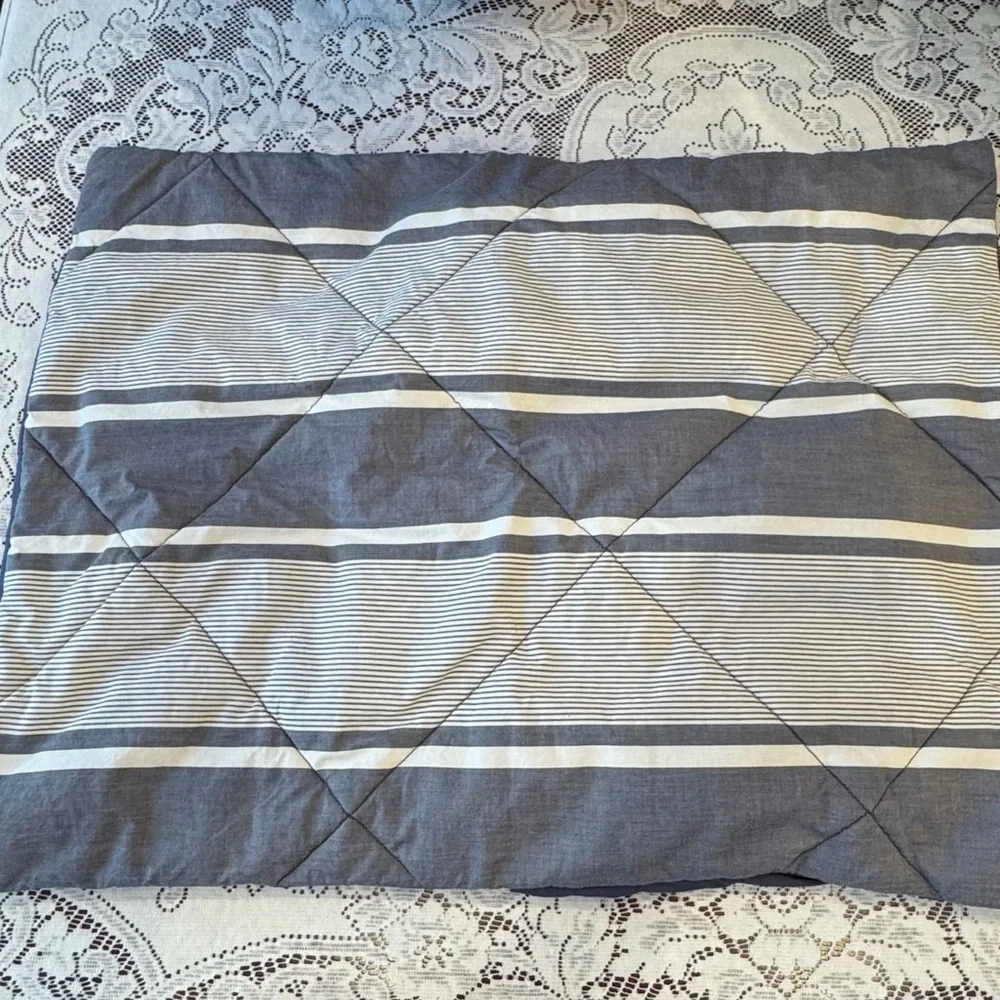 PB Dorm Striped Standard Sham